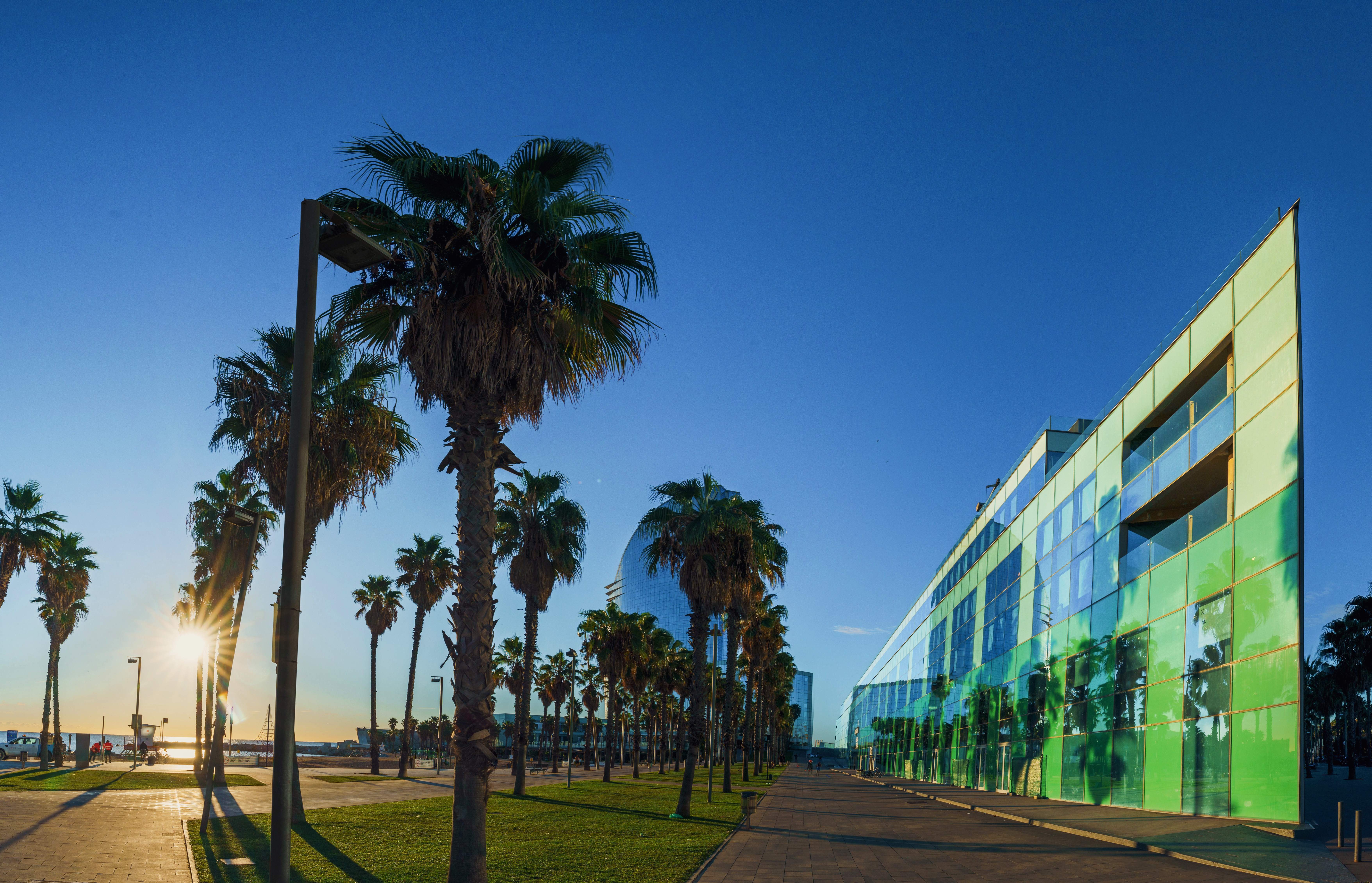 The Norrsken House Barcelona courtyard at sunset - green-glass facade beside a palm-lined promenade with the Hotel W tower in the distance.